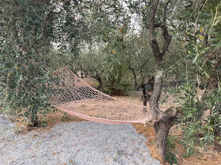Il Fienile Di Alberto E Costanza Lucca Bagian luar foto