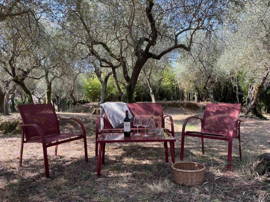 Il Fienile Di Alberto E Costanza Lucca Bagian luar foto