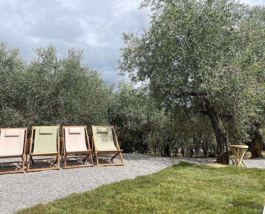 Il Fienile Di Alberto E Costanza Lucca Bagian luar foto