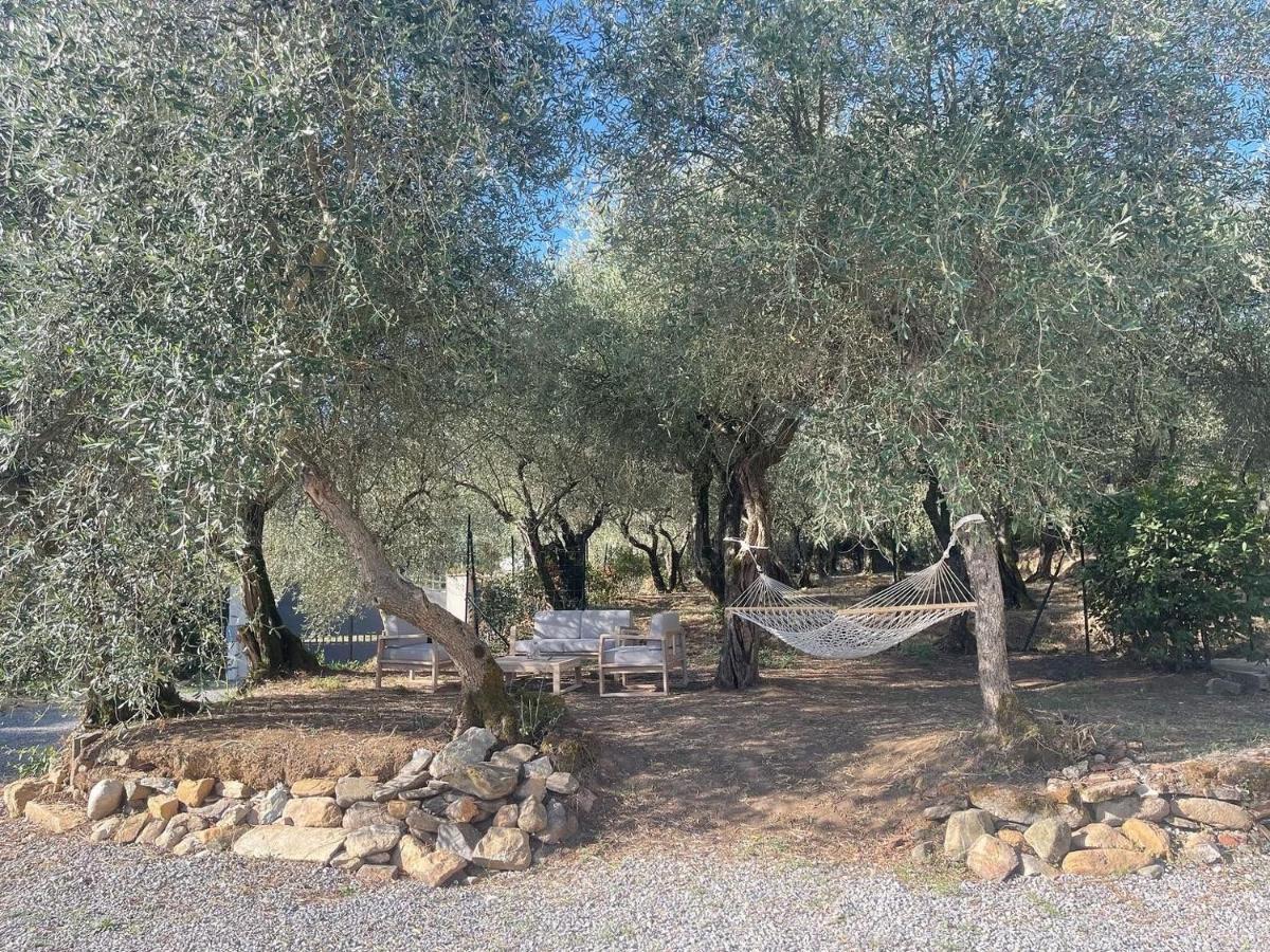 Il Fienile Di Alberto E Costanza Lucca Bagian luar foto